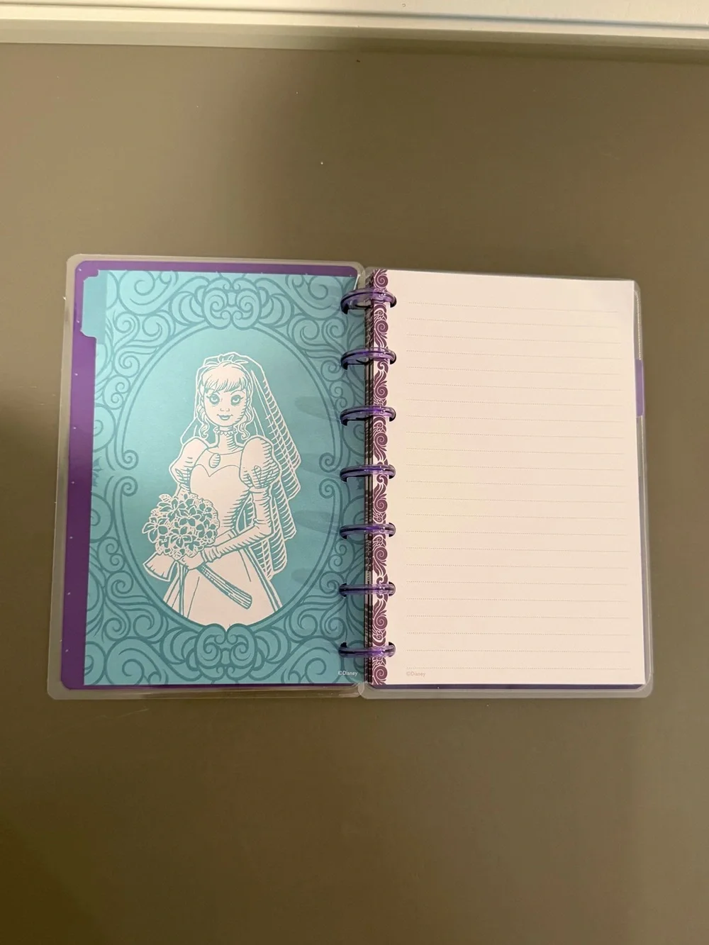 Happy Planner Haunted Mansion Mini Notebook